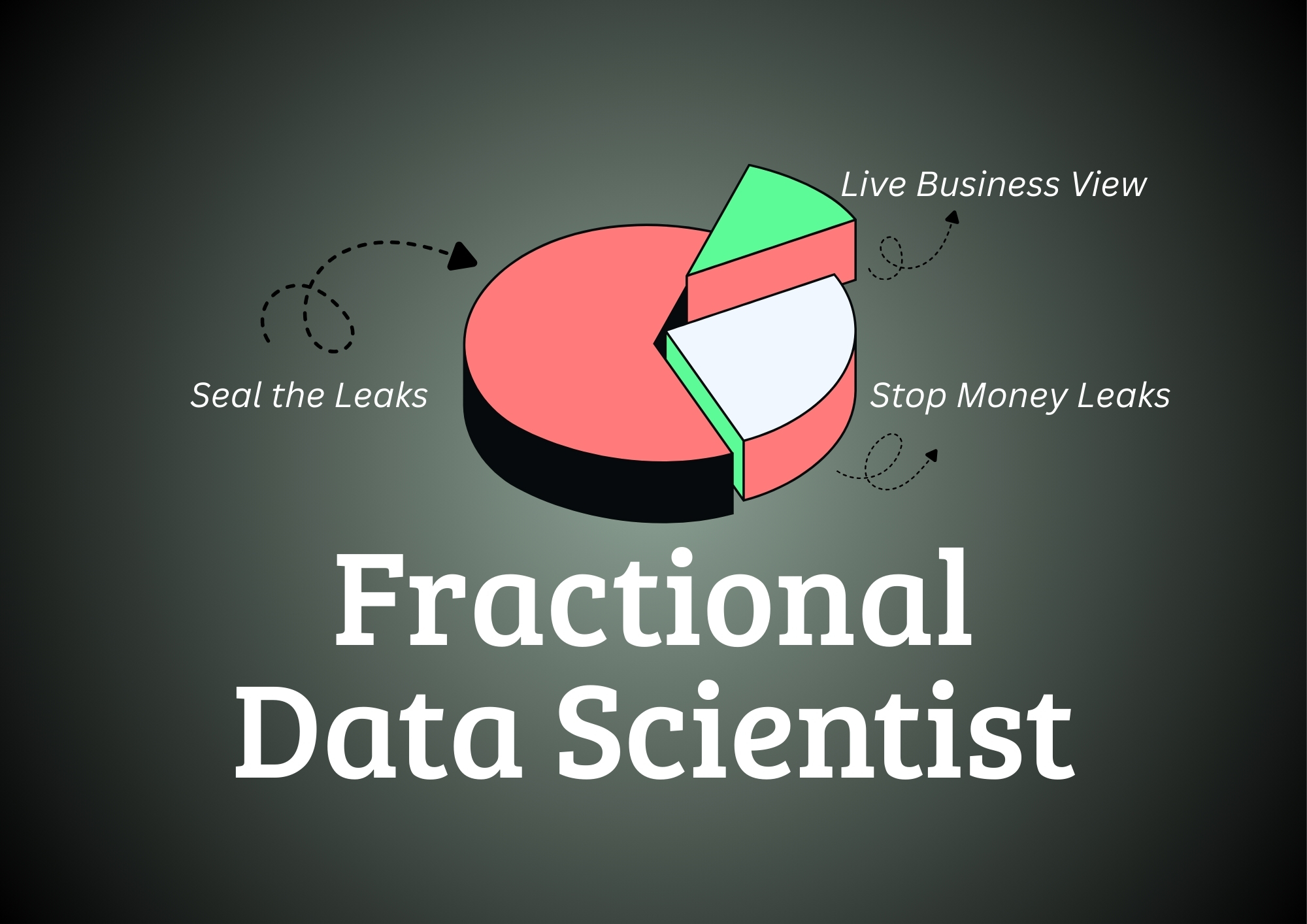 Fractional Data Scientist